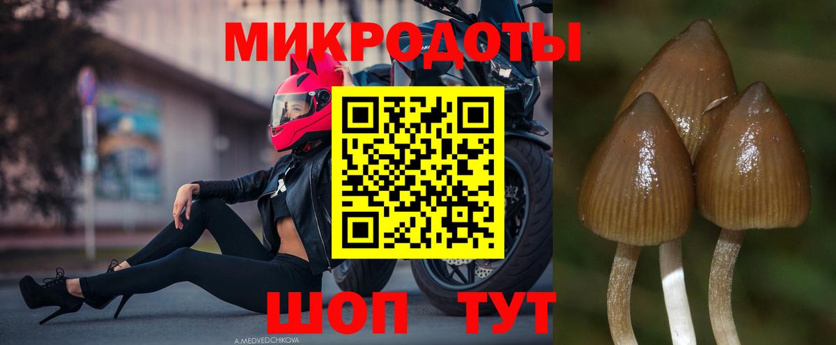 Галлюциногенные грибы MAGIC MUSHROOMS Кунгур