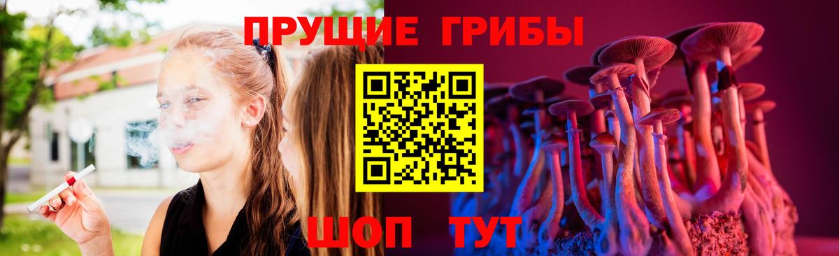 Кунгур  Галлюциногенные грибы Psilocybine cubensis  Вход с VPN 